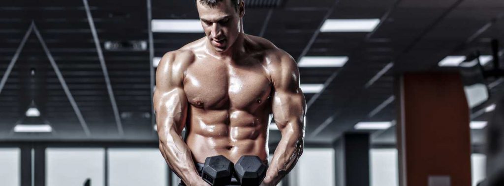 Top 5 BCAA supplements of 2015 Top 5 BCAA supplements of 2015